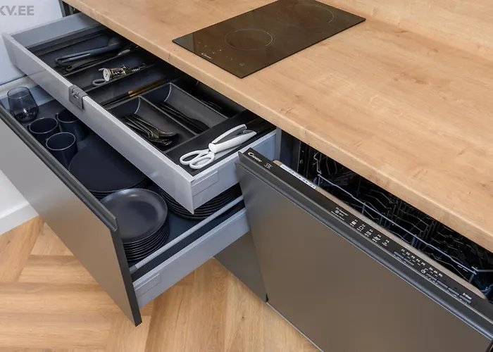 Luxory In The Center. * Pärnu